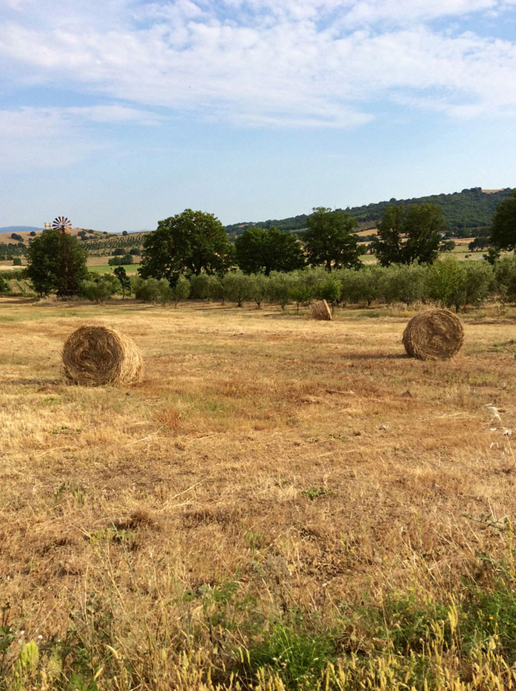 b-and-b-at-home-in-maremma-09