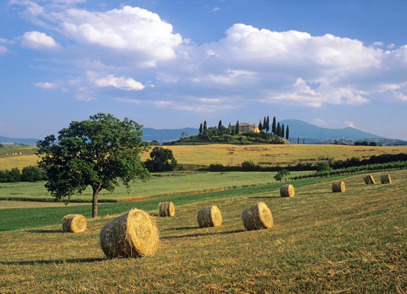 campagna-bb-at-home-in-maremma